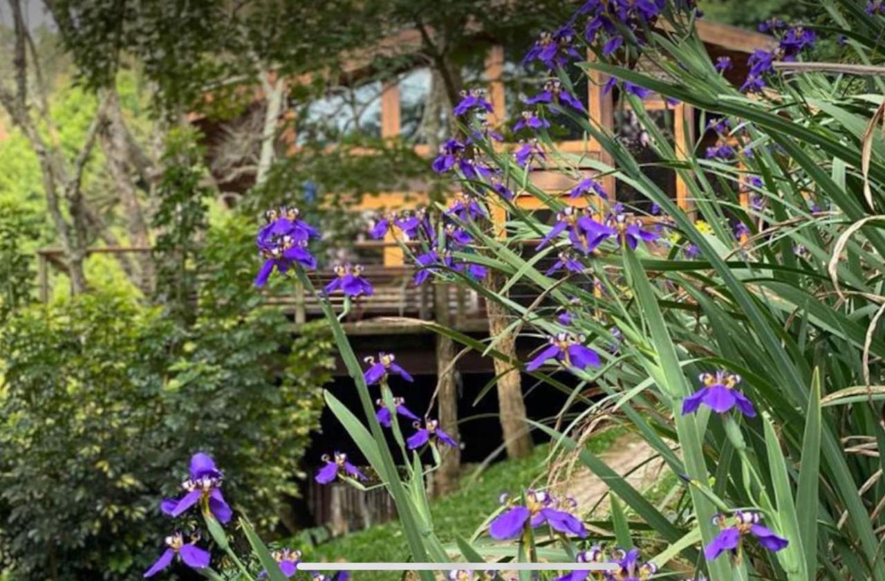 Willa Casa De Vidro Com Vista Mantiqueira - Com Cafe E Staff Campos do Jordão Zewnętrze zdjęcie